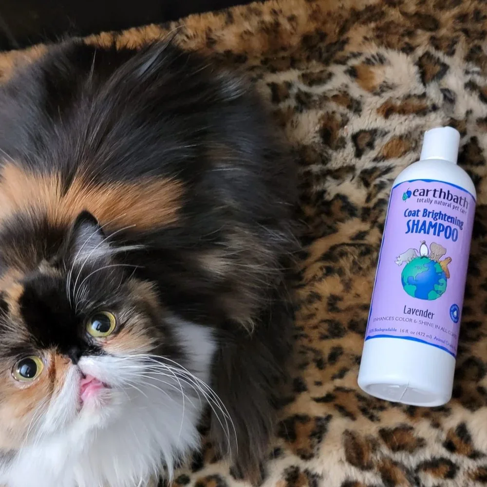 Earthbath Pet Shampoo Dog or Cat Lavender Coat Brightener 16 oz New!